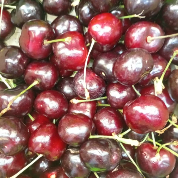 Product 10